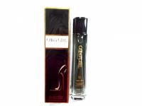PARFEM 100ML 6985
